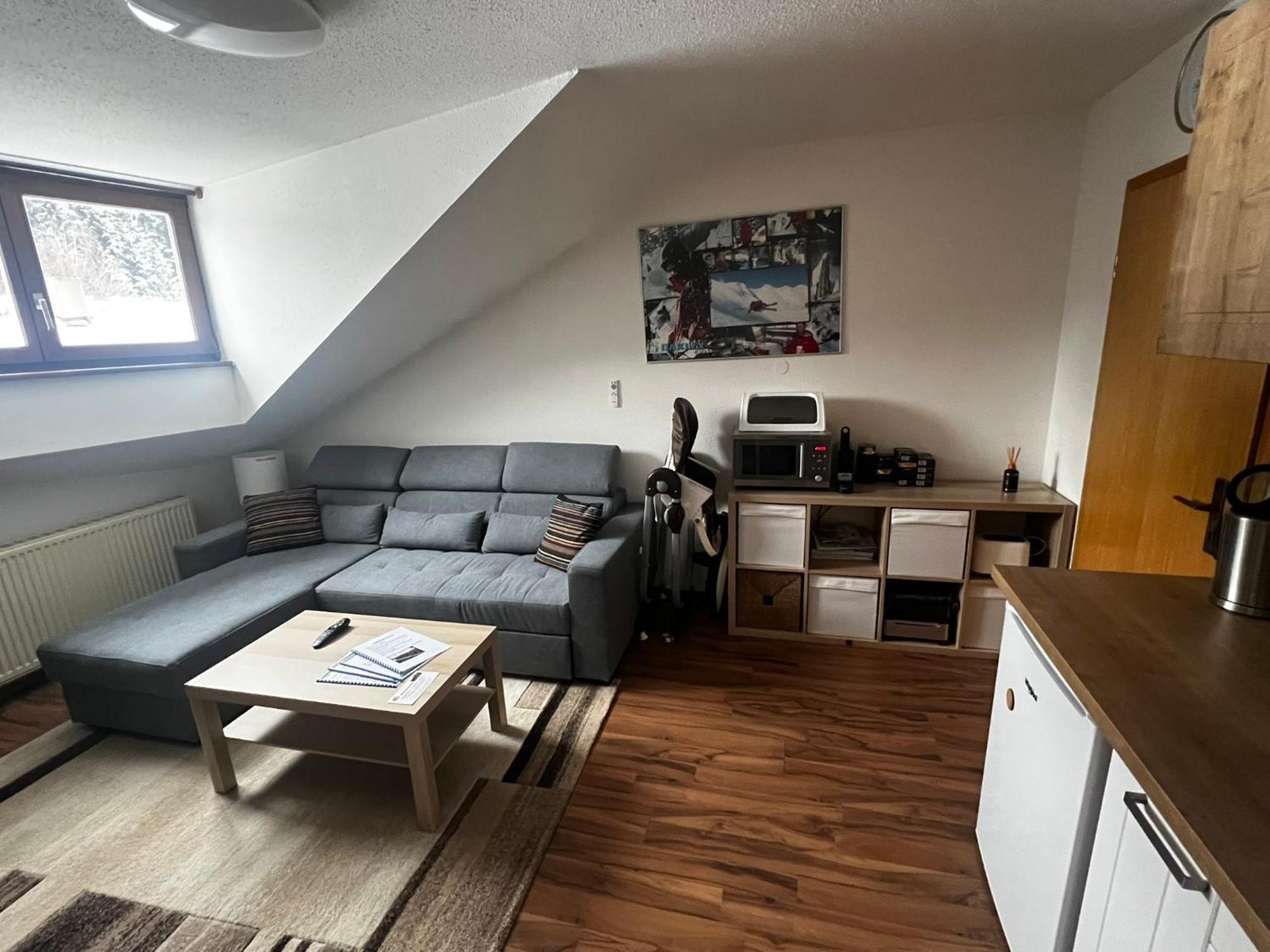Family Apartment Sumava Байериш-Айзенштайн Экстерьер фото
